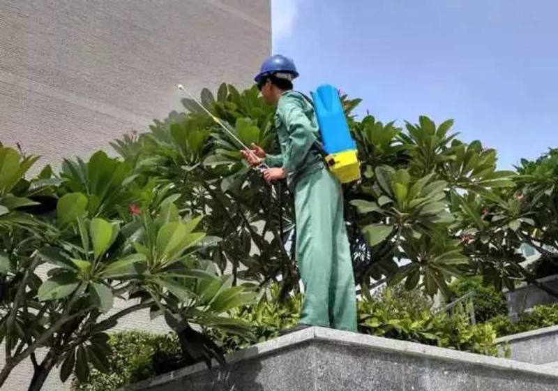 机关生活服务：提升工作与生活的品质